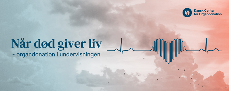 Forsidebillede af bogen 'Nør død giver liv'