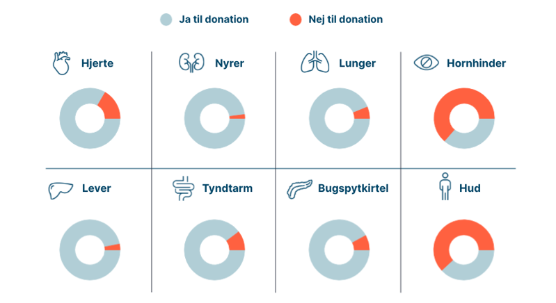Grafik der viser, hvor mange der siger ja og nej til at donere de respektive organer