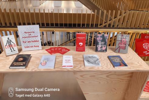 Udstilling på Guldborgsund Bibliotek