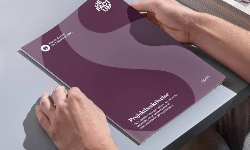 Billede af en rapportforside til den nationale afdækning