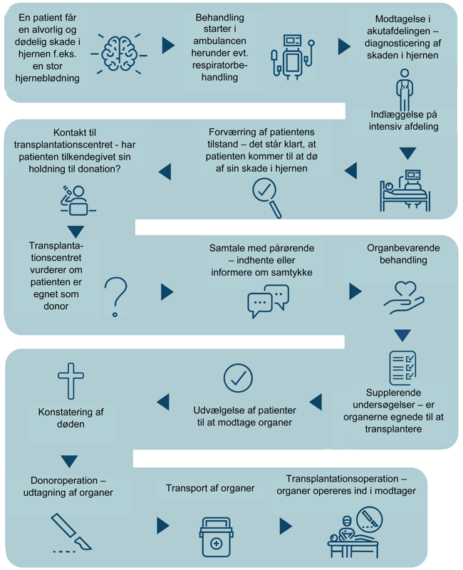 En oversigt der viser de mange forhold, der skal 'gå op' hvis organdonation, skal blive en mulighed